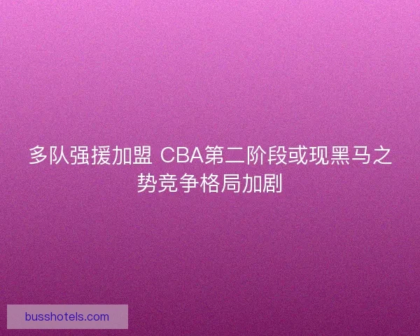 多队强援加盟 CBA第二阶段或现黑马之势竞争格局加剧